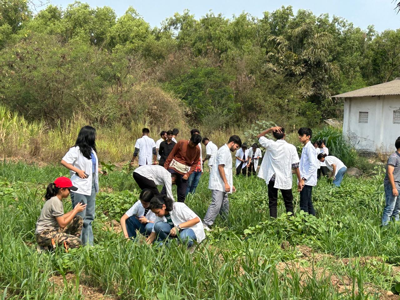 Students working in fodder plots